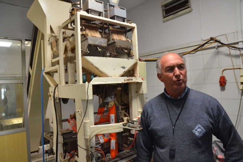 řecké pistácie z otrova Aegina - Řecko nás baví 8